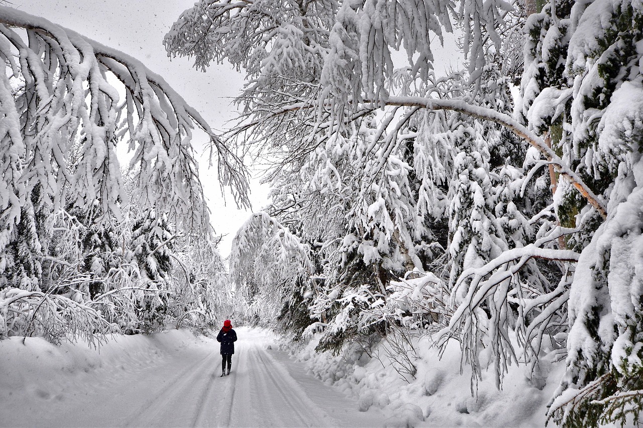 Anticipated Snowstorm Set to Sweep Through Nova Scotia