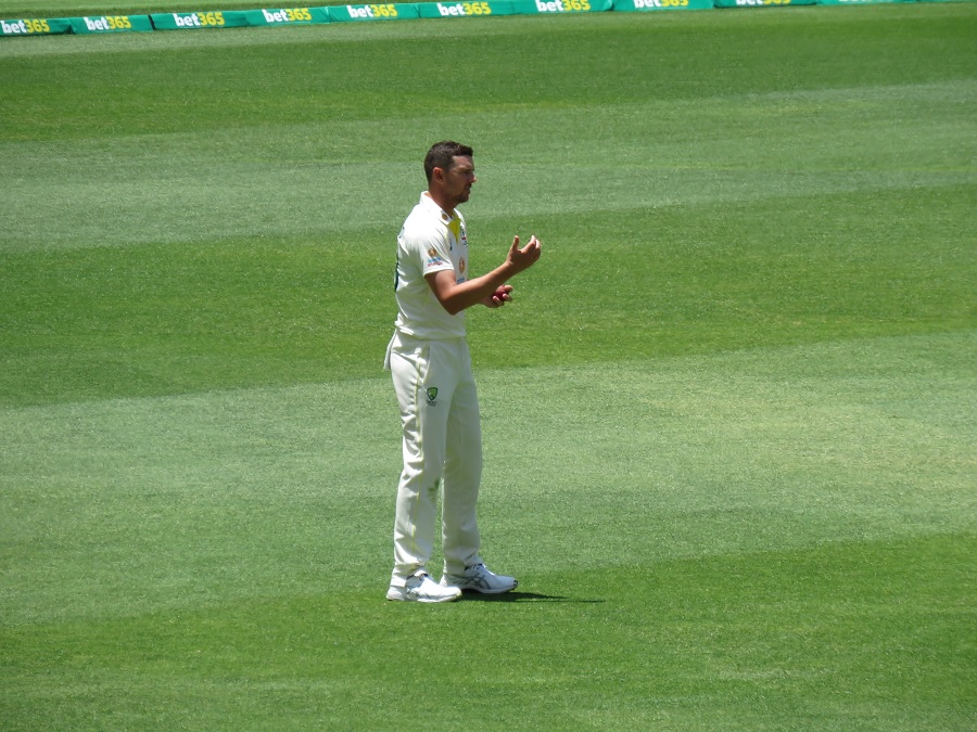 Hazlewood's Five-Wicket Haul Rocks New Zealand on Day One of Second Test,photo by Wikicommons