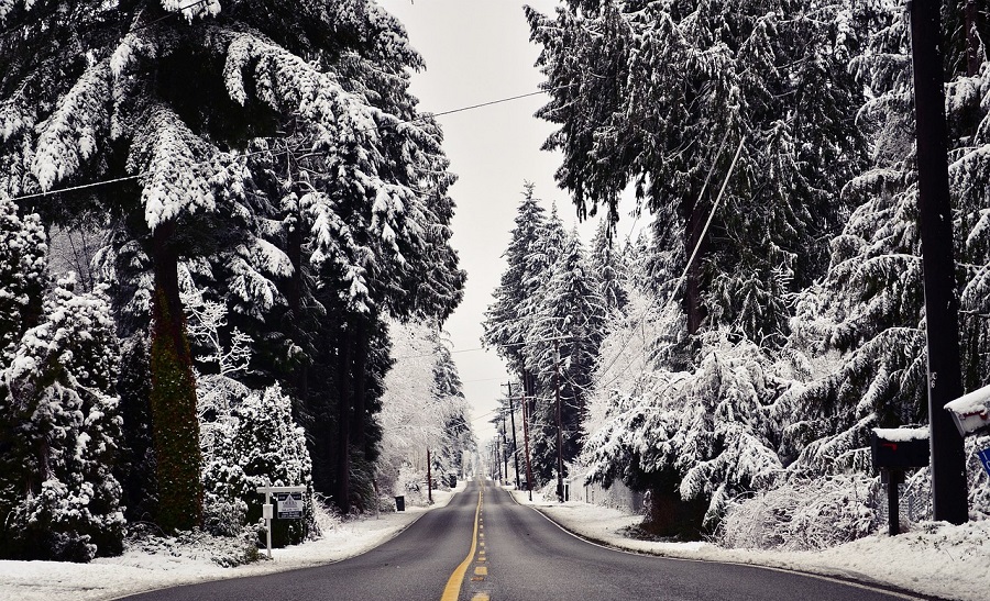 Thousands Left in the Cold Quebec Battles Massive Power Outages,Image by Trevor M