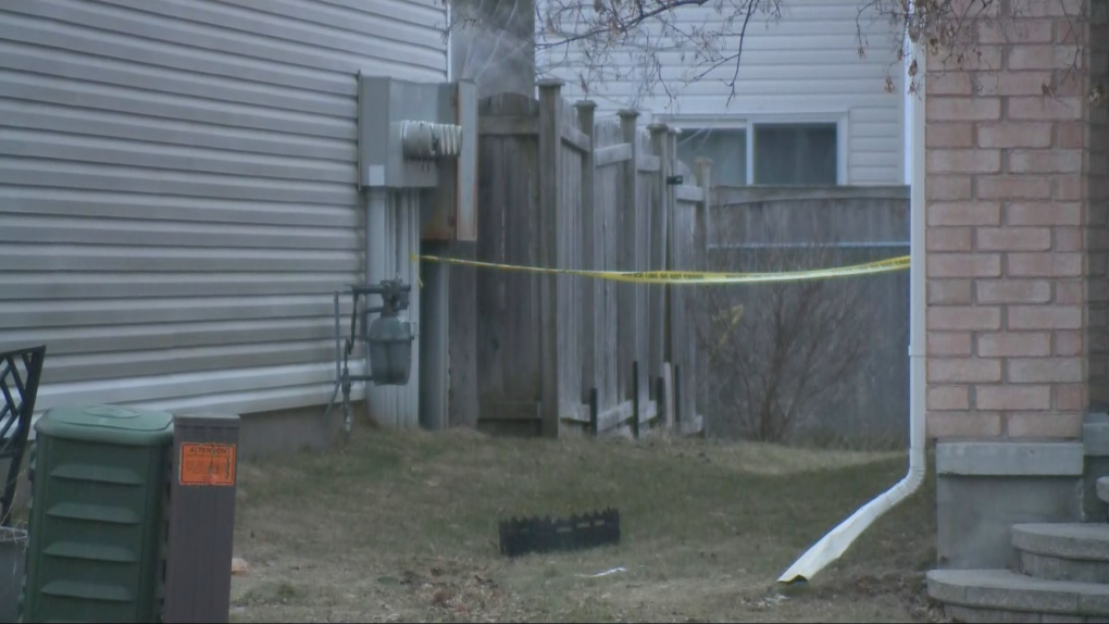 Tragic Incident Unfolds Six Killed in Ottawa Suburb Home, Screan Shot CTV Morning Live