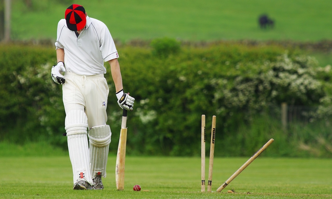 Cricket Night Unites Fans as Canada Prepares for ICC Men's T20 World Cup,Image by Lisa scott from Pixabay