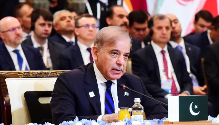 PM Shehbaz Sharif Condemns State Terrorism at SCO Summit, , Photo PID PMO